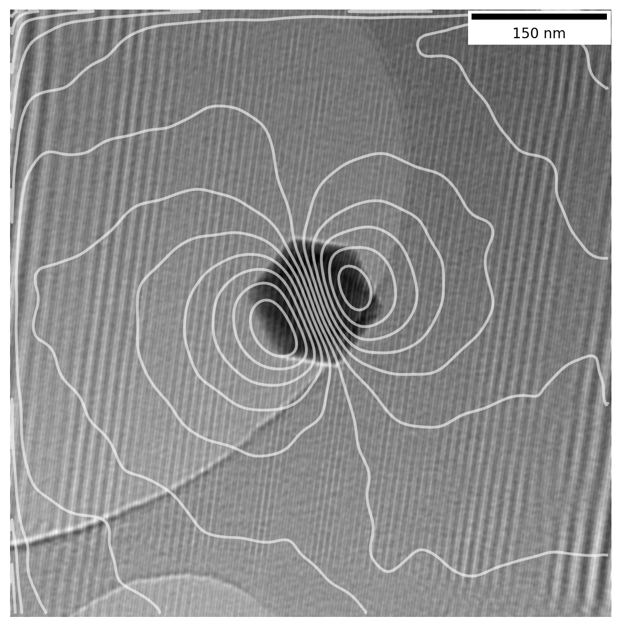 magnetic field lines around magnetite nanoparticle